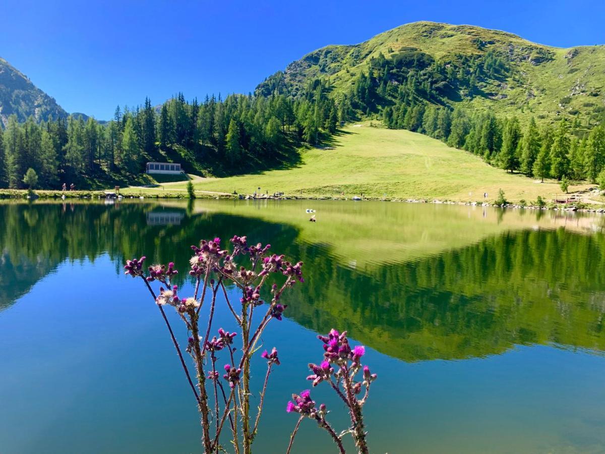 Vesterberg Apartments In Top Lage - Top Lage Schladming Kültér fotó